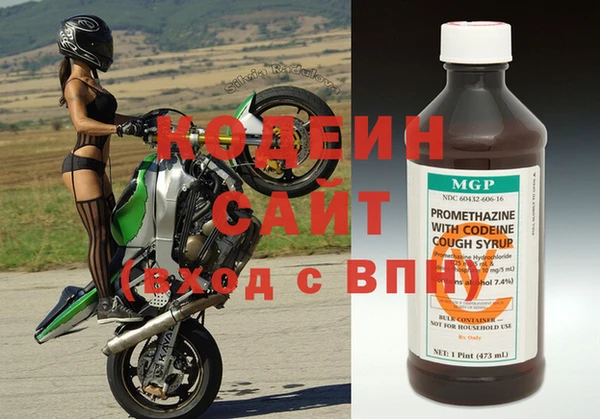 прущие грибы Балабаново