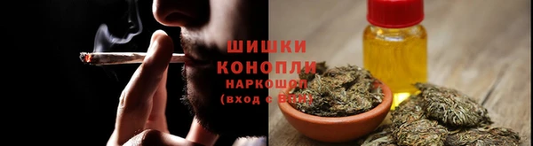 прущие грибы Балабаново