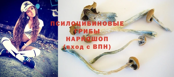 mdpv Балахна