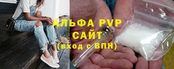 прущие грибы Балабаново