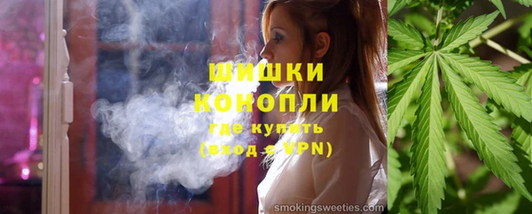 прущие грибы Балабаново