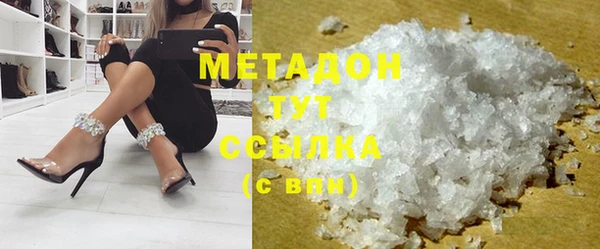 прущие грибы Балабаново