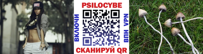 Псилоцибиновые грибы Magic Shrooms  Тутаев 